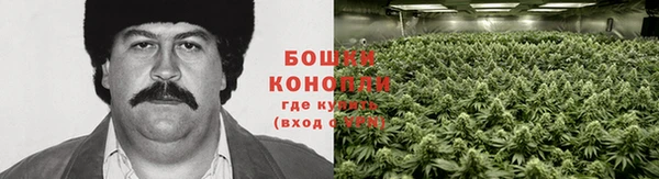 бошки Абинск