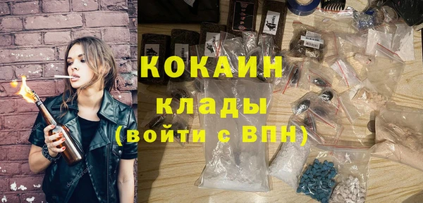 мет Алексин