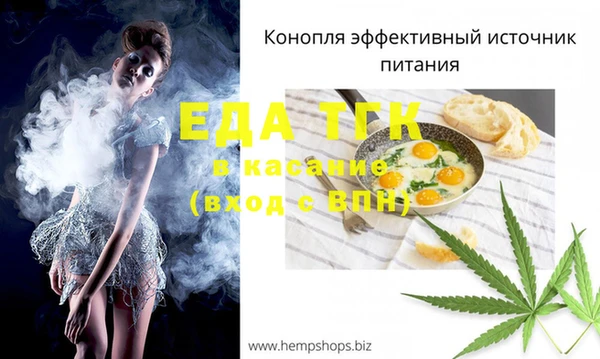 мет Алексин