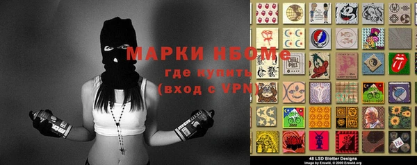 мет Алексин