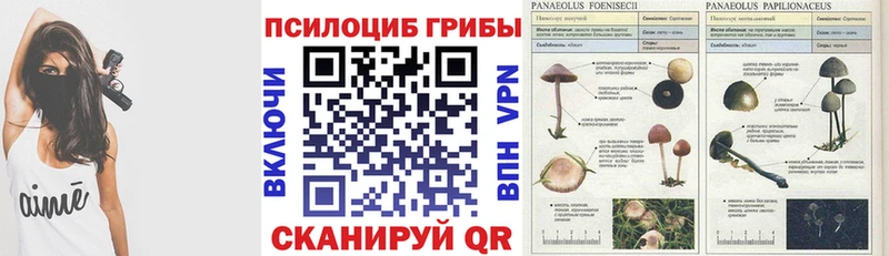 Галлюциногенные грибы ЛСД сколько стоит Волжский