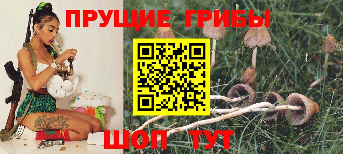 Псилоцибиновые грибы Psilocybine cubensis  Псилоцибиновые грибы MAGIC MUSHROOMS  Вход с VPN  Волжский 